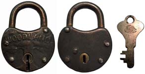 “WOODLAND – 1 Tree”