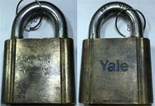 “CALIF DEPT OF CONSERVATION DIVISION OF FORESTRY” – “YALE”