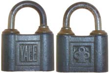“YALE” – Trefoil