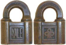 “YALE” – Trefoil