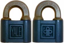 “YALE” – Trefoil