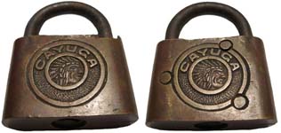 “CAYUGA” – Type 2